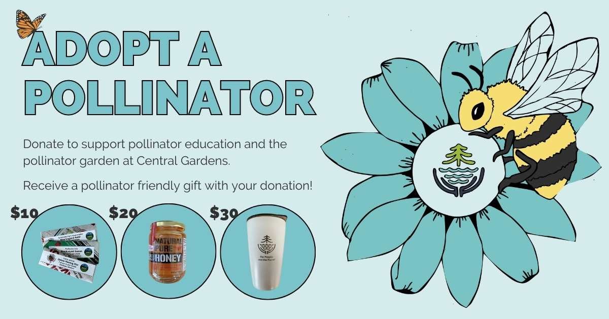 adopt-a-pollinator-