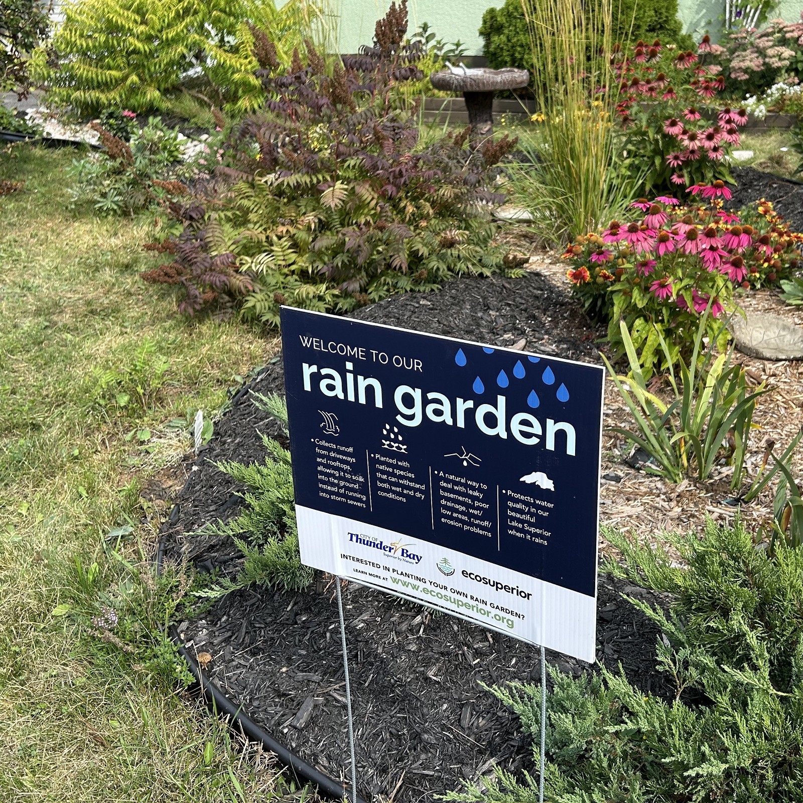 Rain Garden Rebate Program