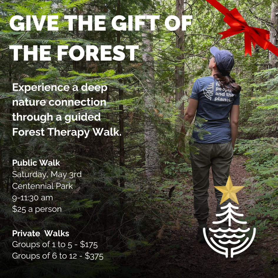 forest-therapy-gift-