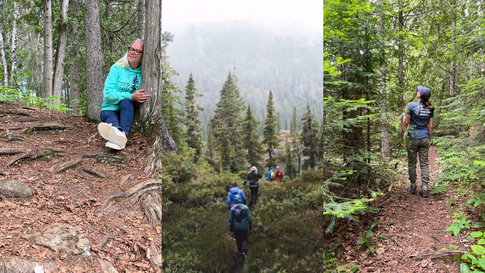 foresttherapy-banner