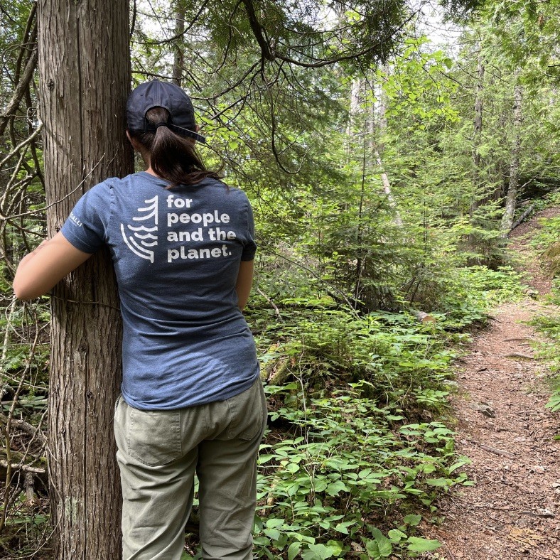 Nature's Carbon Cleaners