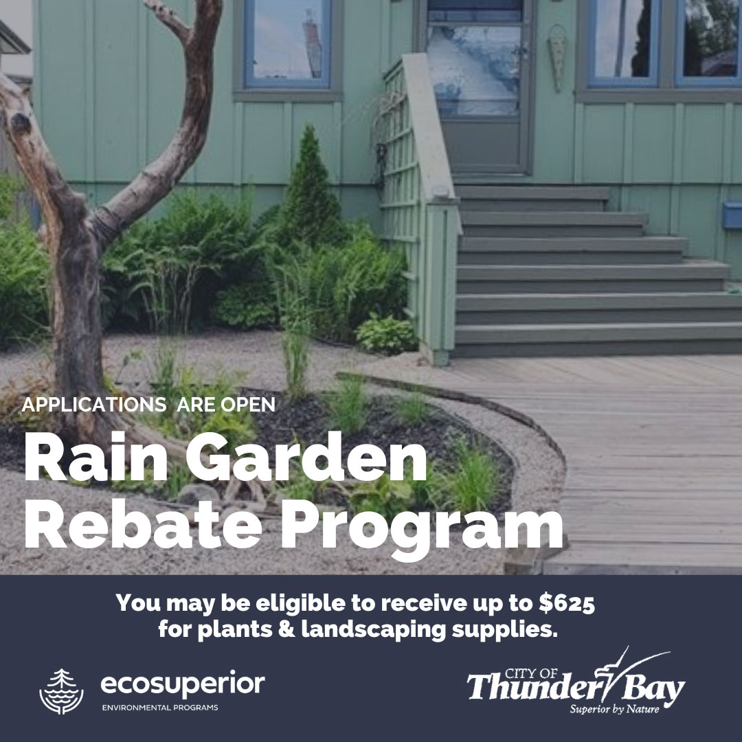 Rain Garden Rebate Program Now Accepting Applications